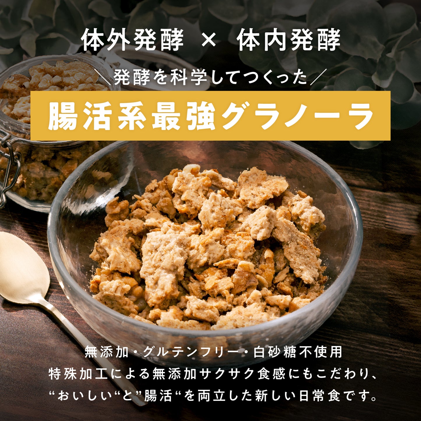 甘酒と米粉の発酵ぐらのぅら 5食分（160g）