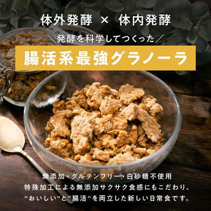 甘酒と米粉の発酵ぐらのぅら 5食分（160g）