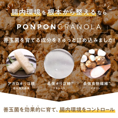 甘酒と米粉の発酵ぐらのぅら 5食分（160g）