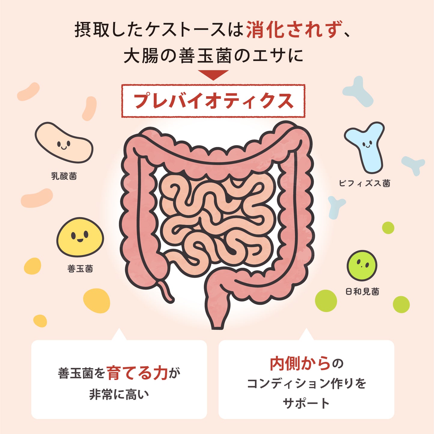 ケストース (3g×30包入）