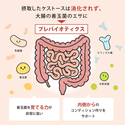 ケストース (3g×30包入）
