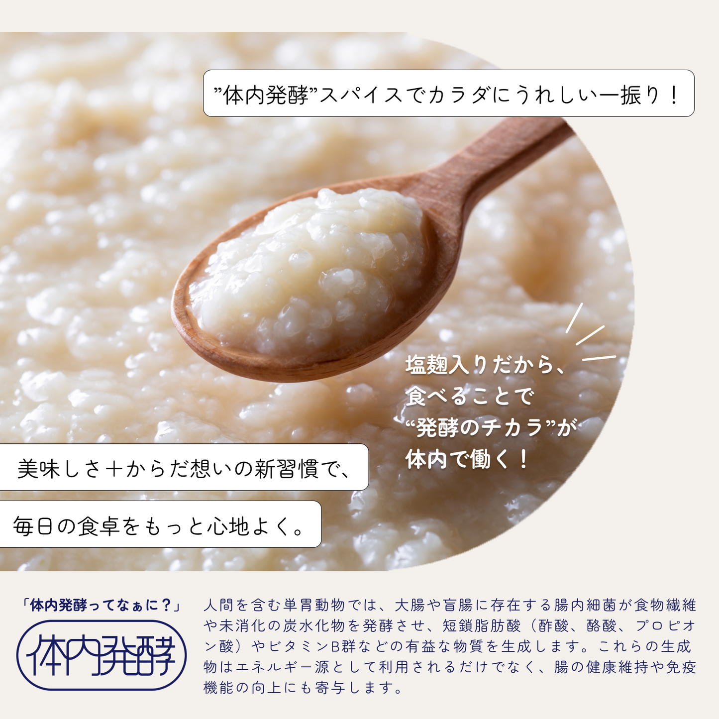 おまもりスパイス 発酵万能調味料  塩麹ブレンド 【おはな監修】＜レシピBOOK付き＞